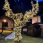 Goldener Adler